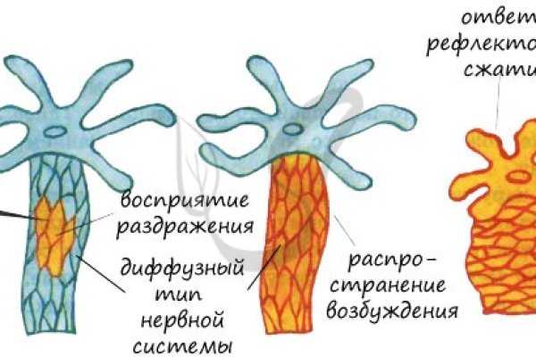 Кракен сайт 13at