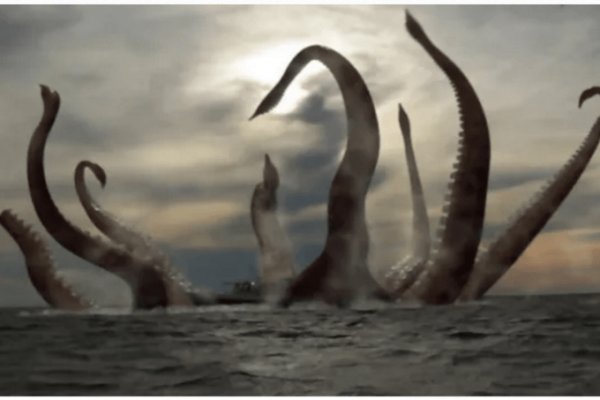 Kraken найдется все